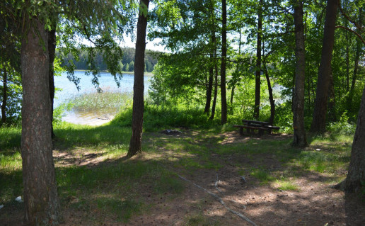 36_Arino II stovyklavietė (1).jpg